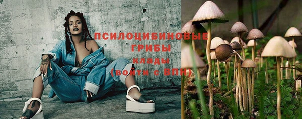 спиды Зеленодольск