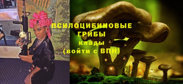 спиды Зеленодольск