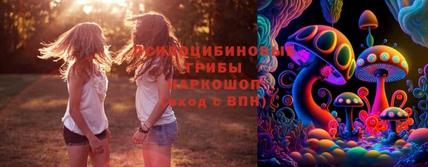 дживик Зеленокумск