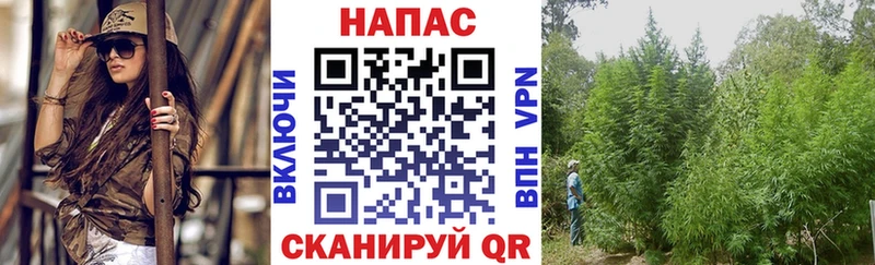 где купить наркоту Будённовск Бошки марихуана ГИДРОПОН